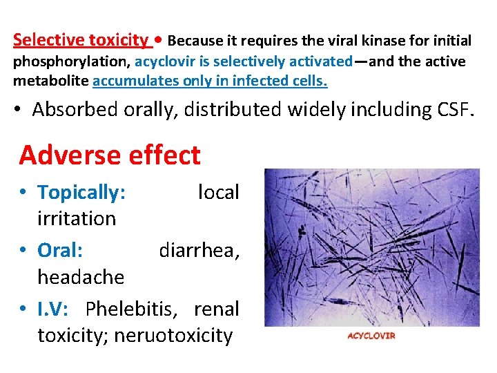 Selective toxicity • Because it requires the viral kinase for initial phosphorylation, acyclovir is