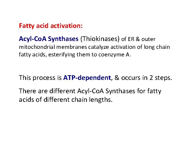 Fatty acid activation: Acyl-Co. A Synthases (Thiokinases) of ER & outer mitochondrial membranes catalyze