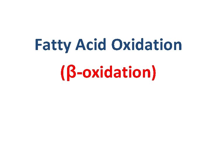 Fatty Acid Oxidation (β-oxidation) 