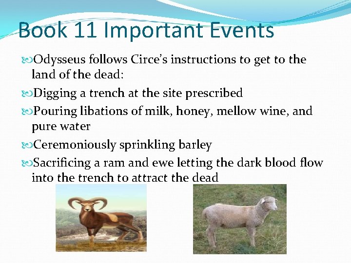 Book 11 Important Events Odysseus follows Circe’s instructions to get to the land of