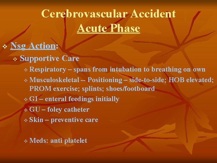 Cerebrovascular Accident Acute Phase v Nsg Action: v Supportive Care Respiratory – spans from
