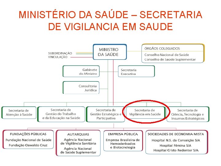 MINISTÉRIO DA SAÚDE – SECRETARIA DE VIGILANCIA EM SAUDE 