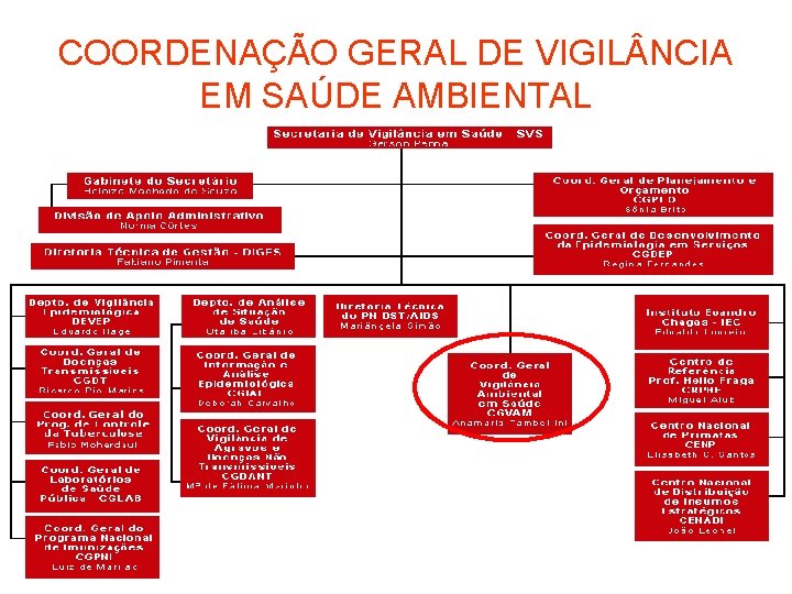 COORDENAÇÃO GERAL DE VIGIL NCIA EM SAÚDE AMBIENTAL 