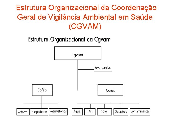 Estrutura Organizacional da Coordenação Geral de Vigilância Ambiental em Saúde (CGVAM) 