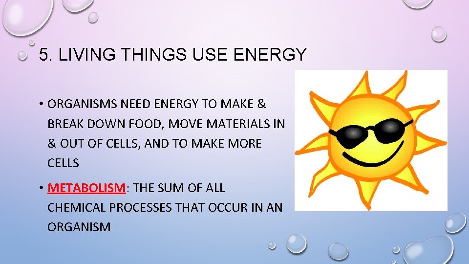 5. LIVING THINGS USE ENERGY • ORGANISMS NEED ENERGY TO MAKE & BREAK DOWN