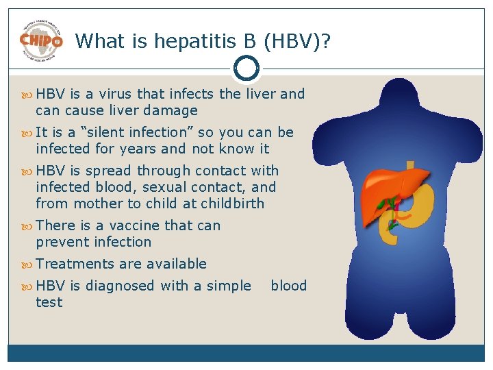 What is hepatitis B (HBV)? HBV is a virus that infects the liver and