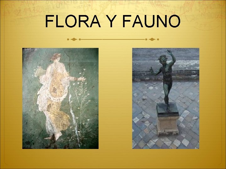 FLORA Y FAUNO 