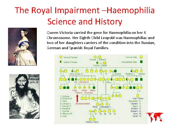 The Royal Impairment –Haemophilia Science and History Queen Victoria carried the gene for Haemophilia