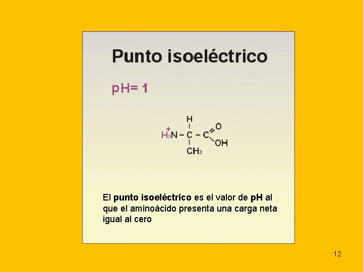 El punto isoeléctrico es el valor de p. H al que el aminoácido presenta
