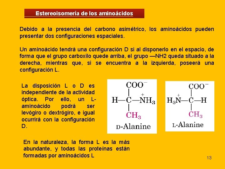Estereoisomería de los aminoácidos Debido a la presencia del carbono asimétrico, los aminoácidos pueden