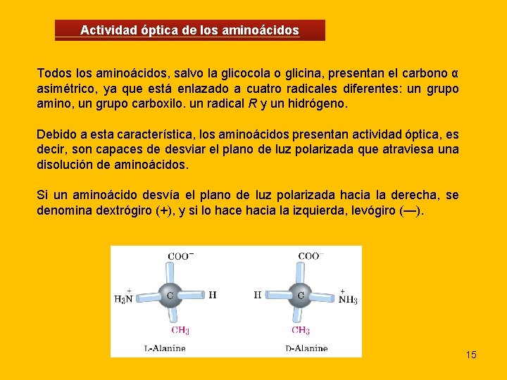 Actividad óptica de los aminoácidos Todos los aminoácidos, salvo la glicocola o glicina, presentan