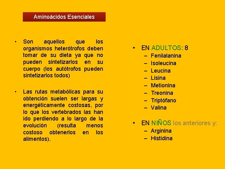 Aminoácidos Esenciales • • Son aquellos que los organismos heterótrofos deben tomar de su