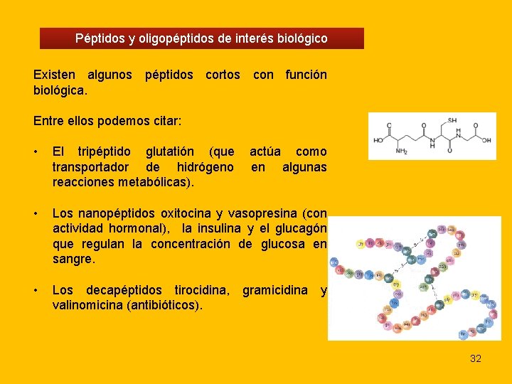 Péptidos y oligopéptidos de interés biológico Existen algunos péptidos cortos con función biológica. Entre