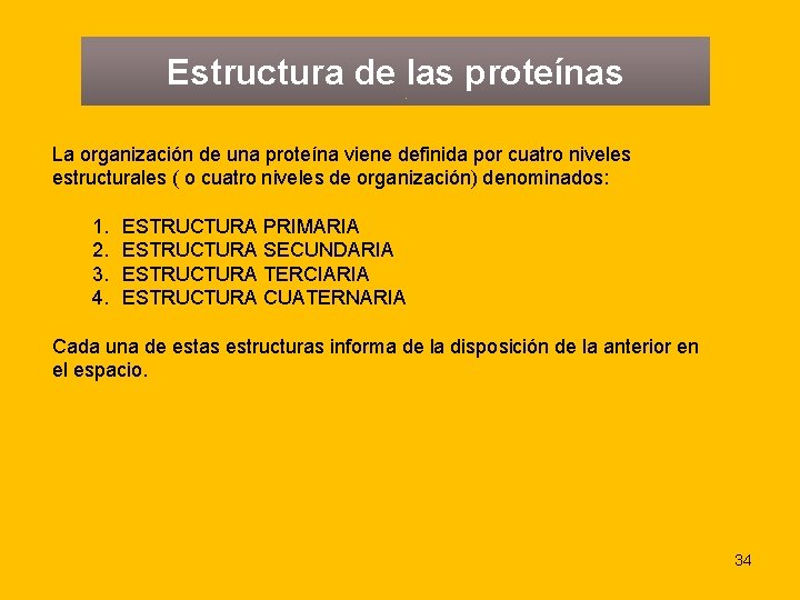 Estructura de las proteínas La organización de una proteína viene definida por cuatro niveles