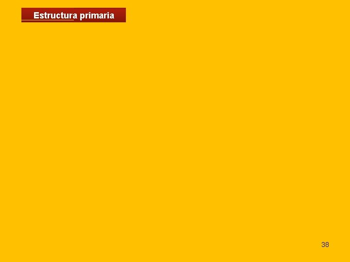 Estructura primaria 38 