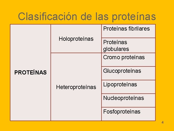 Clasificación de las proteínas Proteínas fibrilares Holoproteínas Proteínas globulares Cromo proteínas Glucoproteínas PROTEÍNAS Heteroproteínas