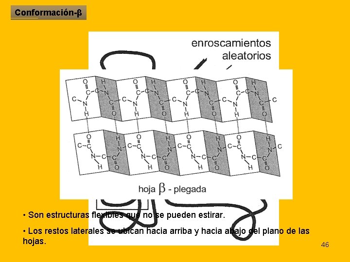 Conformación-β • Son estructuras flexibles que no se pueden estirar. • Los restos laterales