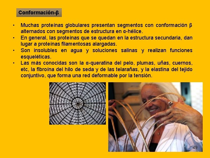 Conformación-β • • Muchas proteínas globulares presentan segmentos conformación β alternados con segmentos de