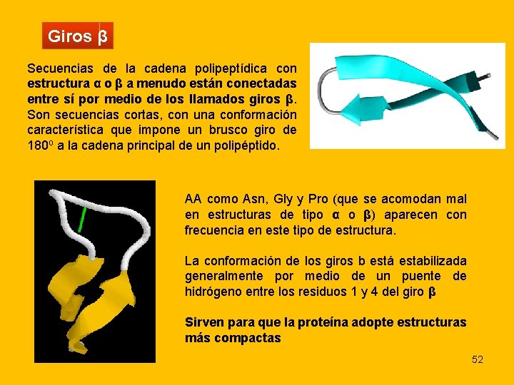 Giros β Secuencias de la cadena polipeptídica con estructura α o β a menudo