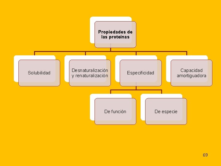 Propiedades de las proteínas Solubilidad Desnaturalización y renaturalización De función Especificidad Capacidad amortiguadora De