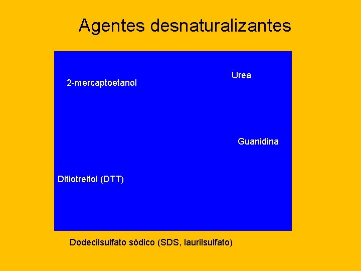 Agentes desnaturalizantes 2 -mercaptoetanol Urea Guanidina Ditiotreitol (DTT) Dodecilsulfato sódico (SDS, laurilsulfato) 