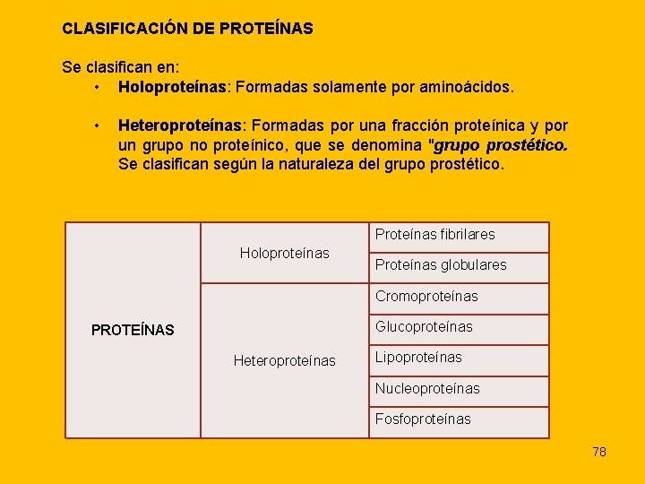 CLASIFICACIÓN DE PROTEÍNAS Se clasifican en: • Holoproteínas: Formadas solamente por aminoácidos. • Heteroproteínas:
