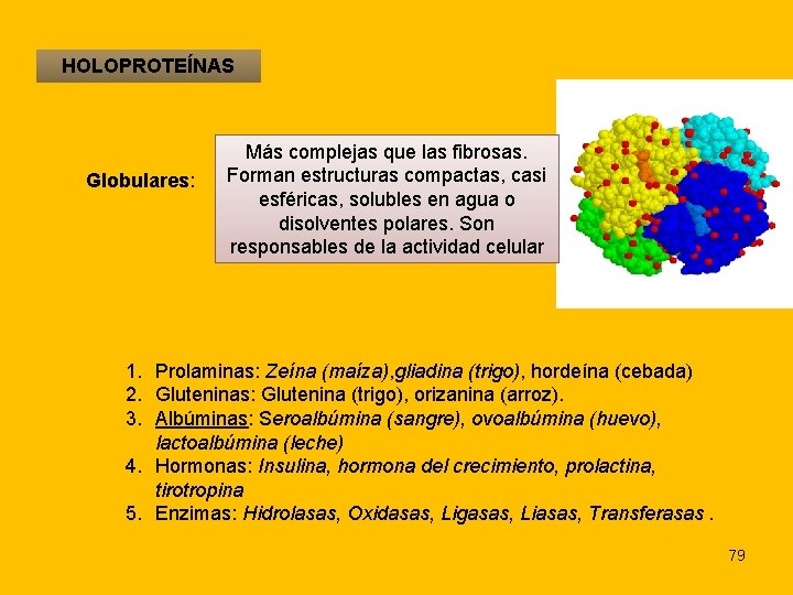 HOLOPROTEÍNAS Globulares: Más complejas que las fibrosas. Forman estructuras compactas, casi esféricas, solubles en