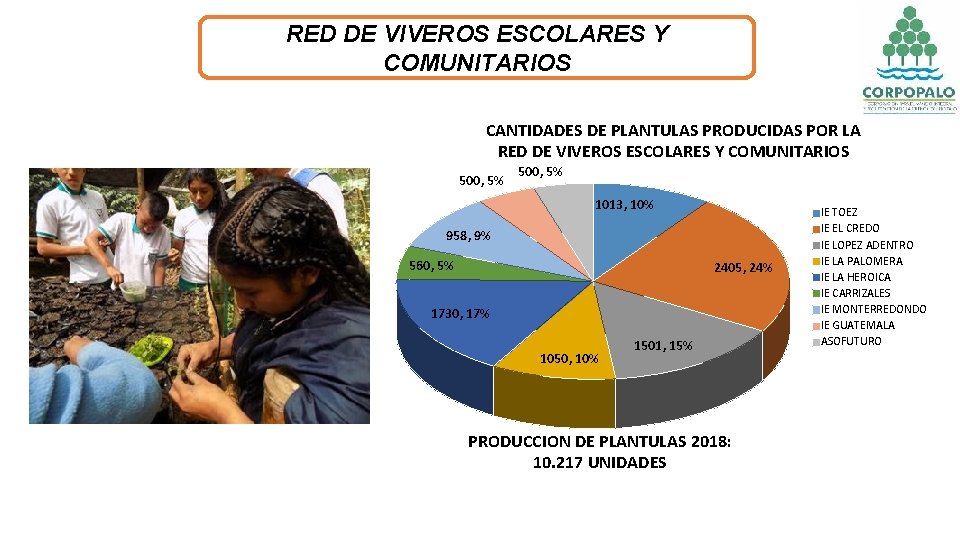 RED DE VIVEROS ESCOLARES Y COMUNITARIOS CANTIDADES DE PLANTULAS PRODUCIDAS POR LA RED DE