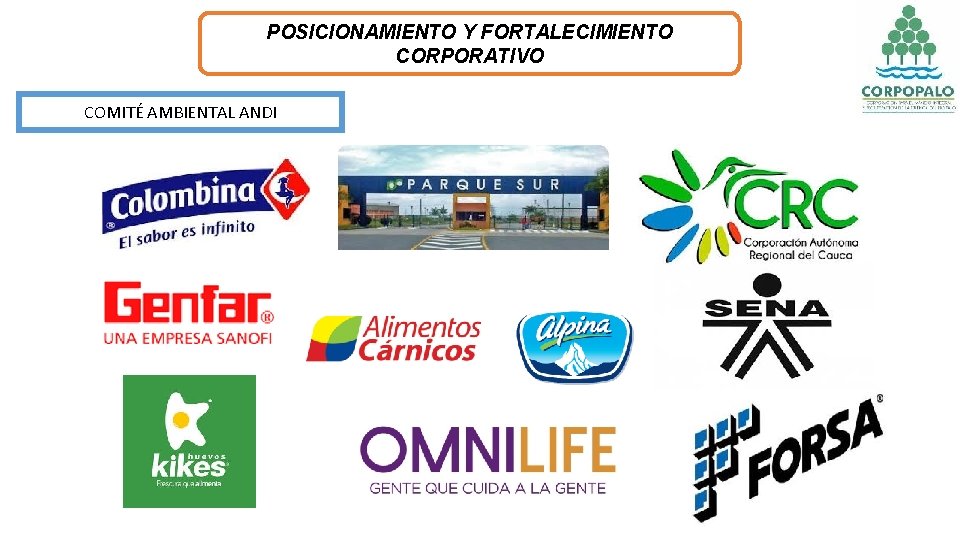 POSICIONAMIENTO Y FORTALECIMIENTO CORPORATIVO COMITÉ AMBIENTAL ANDI 