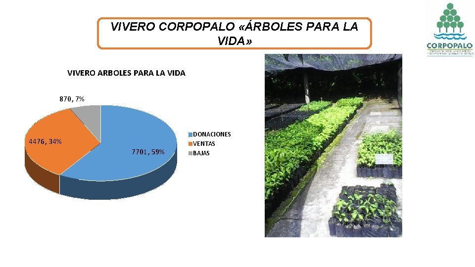 VIVERO CORPOPALO «ÁRBOLES PARA LA VIDA» VIVERO ARBOLES PARA LA VIDA 870, 7% 4476,