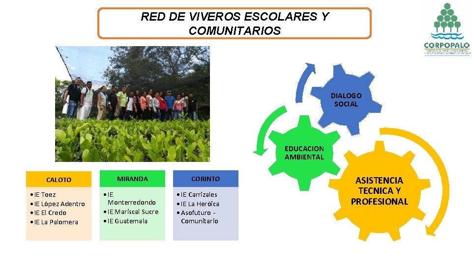 RED DE VIVEROS ESCOLARES Y COMUNITARIOS DIALOGO SOCIAL EDUCACION AMBIENTAL CALOTO MIRANDA • IE