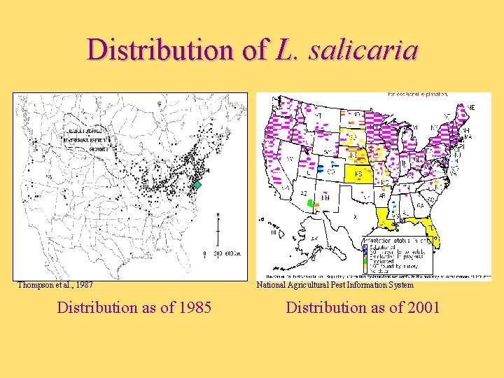 Distribution of L. salicaria Thompson et al. , 1987 Distribution as of 1985 National