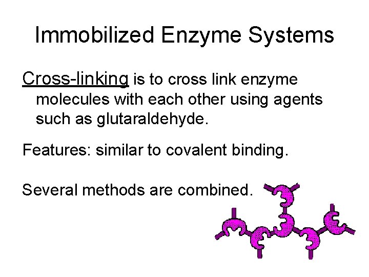 Immobilized Enzyme Systems Cross-linking is to cross link enzyme molecules with each other using