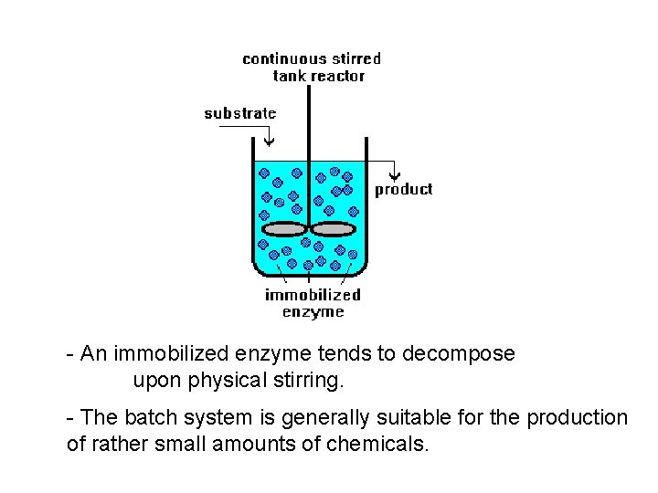 - An immobilized enzyme tends to decompose upon physical stirring. - The batch system