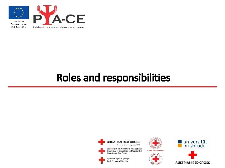 Roles and responsibilities 