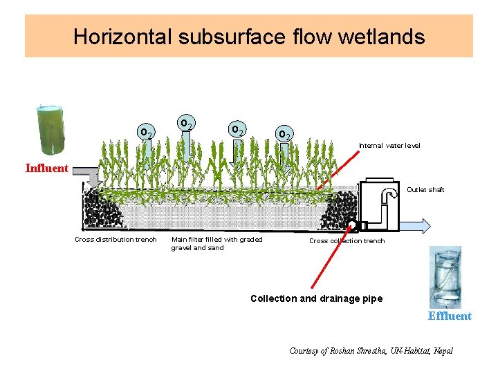 Horizontal subsurface flow wetlands o 2 o 2 Internal water level Influent Outlet shaft