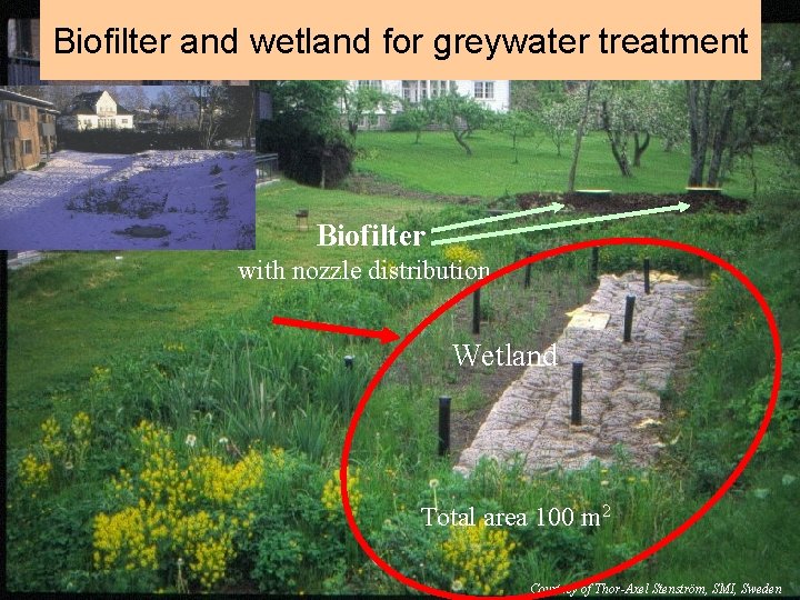 Biofilter and wetland for greywater treatment Biofilter with nozzle distribution Wetland Total area 100