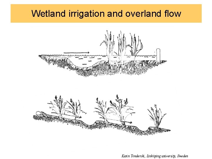 Wetland irrigation and overland flow Karin Tonderski, Linköping university, Sweden 