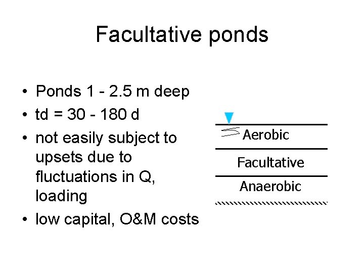 Facultative ponds • Ponds 1 - 2. 5 m deep • td = 30