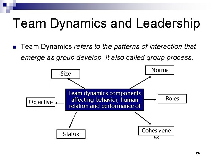 Team Dynamics and Leadership n Team Dynamics refers to the patterns of interaction that