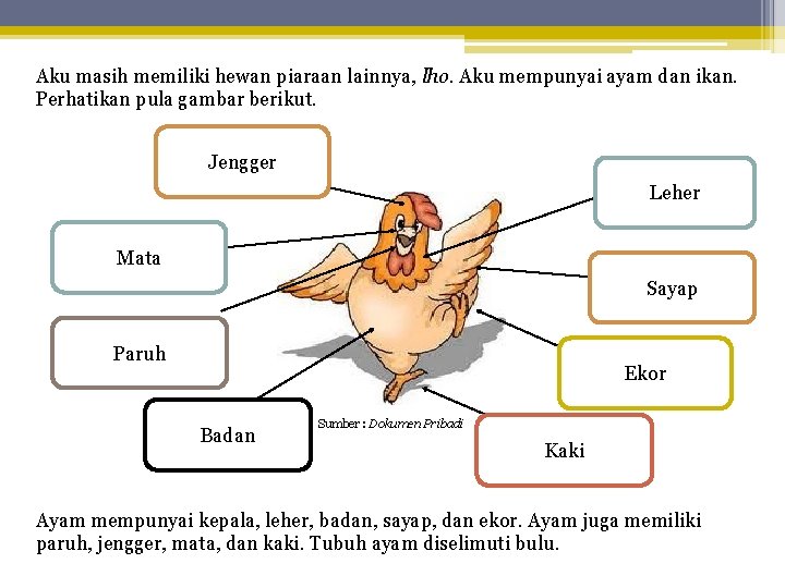 Aku masih memiliki hewan piaraan lainnya, lho. Aku mempunyai ayam dan ikan. Perhatikan pula