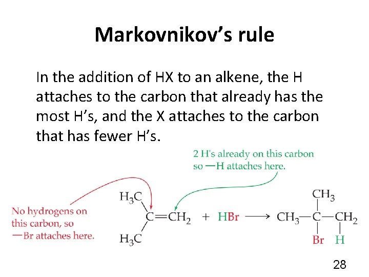 Markovnikov’s rule In the addition of HX to an alkene, the H attaches to