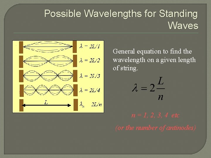 Possible Wavelengths for Standing Waves General equation to find the wavelength on a given