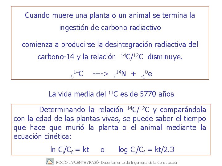 Cuando muere una planta o un animal se termina la ingestión de carbono radiactivo