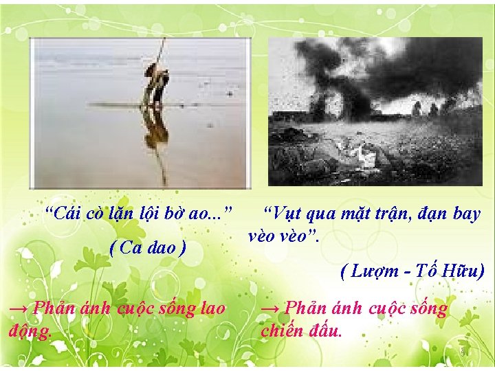 “Cái cò lặn lội bờ ao. . . ” ( Ca dao ) “Vụt