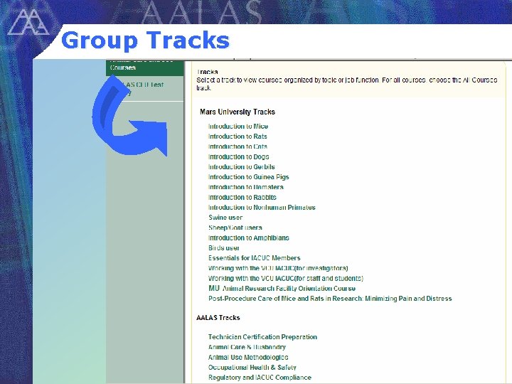 Group Tracks 