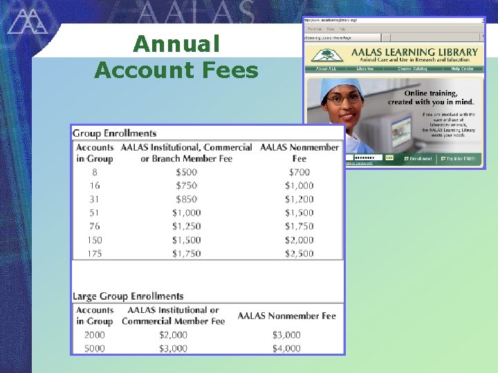 Annual Account Fees 