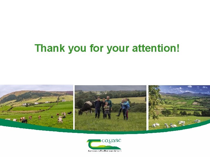 Thank you for your attention! 10 Teagasc Presentation Footer 