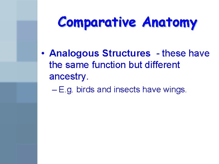 Comparative Anatomy • Analogous Structures - these have the same function but different ancestry.