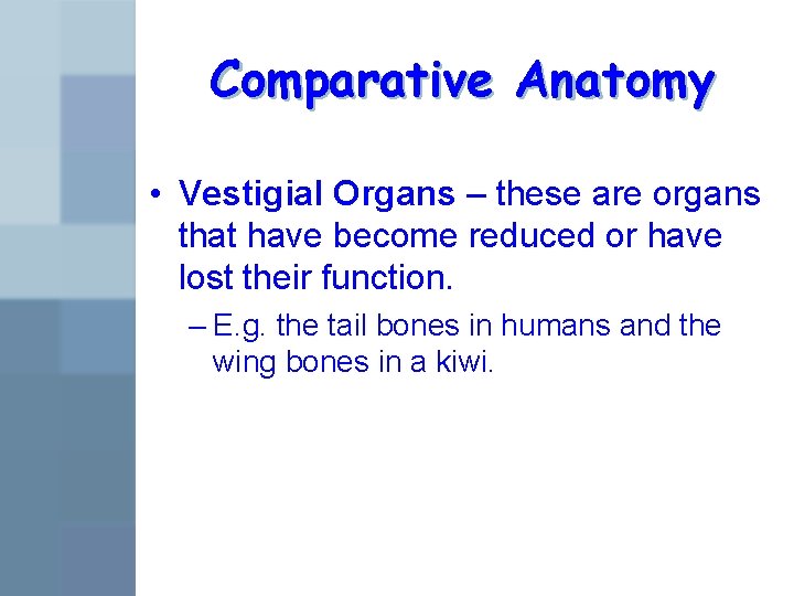 Comparative Anatomy • Vestigial Organs – these are organs that have become reduced or